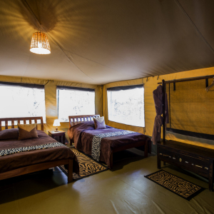 Einzelbetten Familienzelt