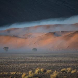 harscher_namibia_202612
