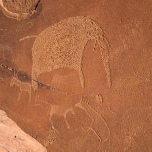 harscher_namibia_202615