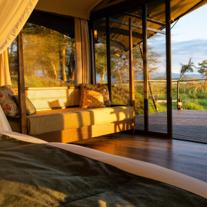 Soroi Amboseli - Standard Tent - View from tent