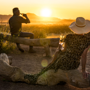 Sundowner