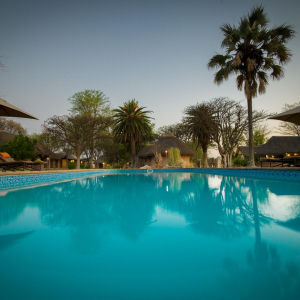 pool_ongumabushcamp