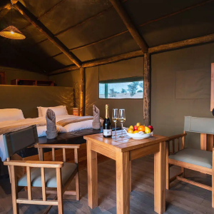 suricatekalaharitentedlodge2