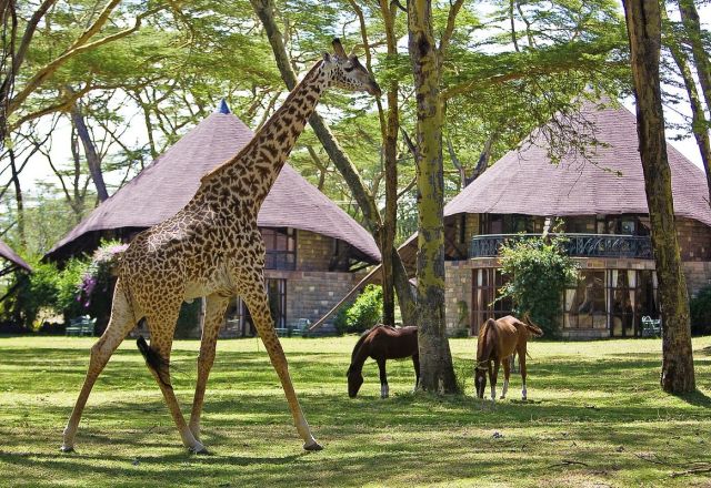 Lake Naivasha Sopa Lodge