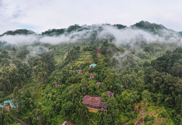 Four Gorillas Lodge