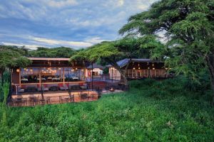 Ngorongoro Lions Paw Camp