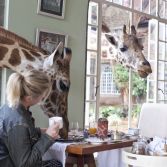 Giraffe Manor