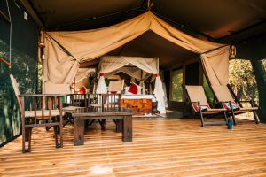 Mara Bush Camp