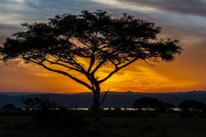 Sonnenuntergang