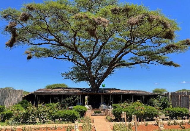 Tulia Amboseli Safari Camp