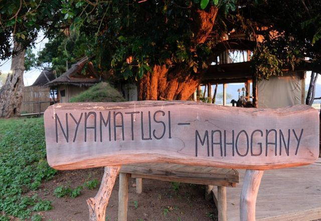 Nyamatusi Mahogany Camp