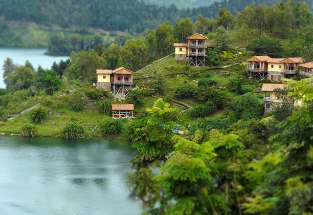 Cormoran Lodge