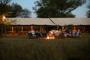 Intimate Camp Zebra