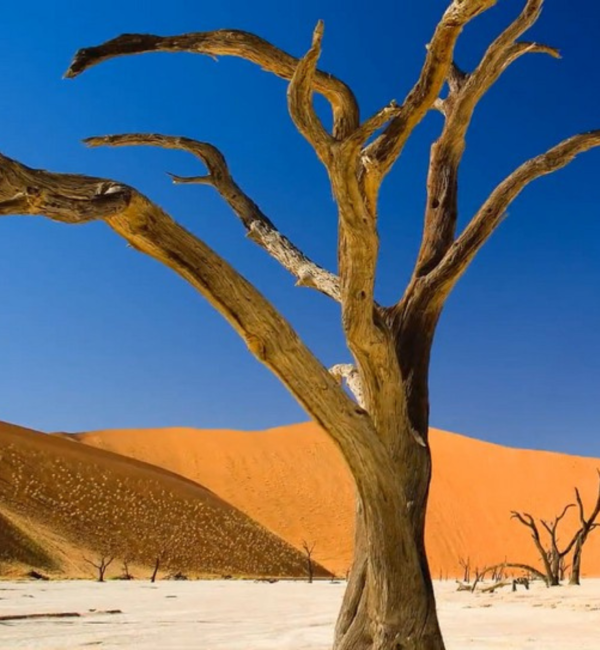 Foto Erlebnisreise Namibia mit Reiner Harscher