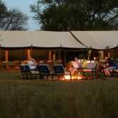 Intimate Camp Zebra
