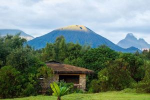 Mountain Gorilla View Lodge