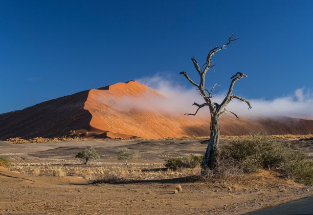 Foto Erlebnisreise Namibia mit Reiner Harscher