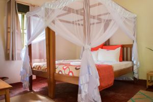 Gorilla Valley Lodge