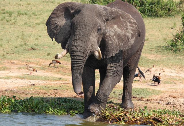 Ugandas verborgene Schätze