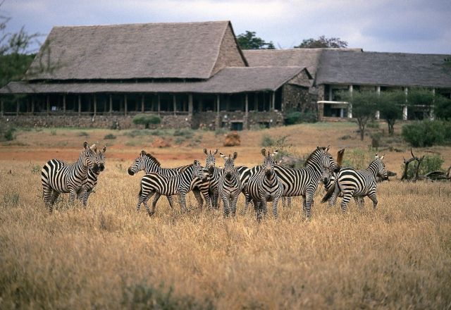 Kilaguni Serena Safari Lodge