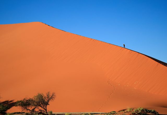 Namibia Explorer