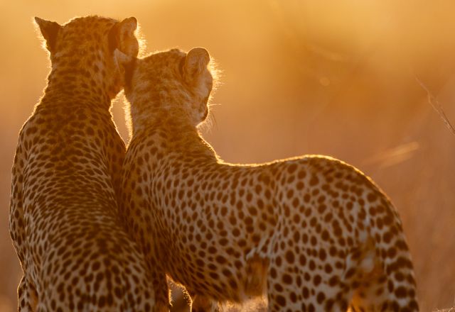 Frauen- Fotoreise Kenia