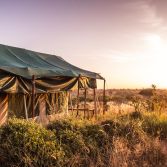 Laikipia Wilderness Camp