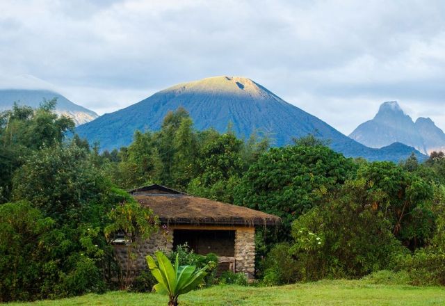 Mountain Gorilla View Lodge