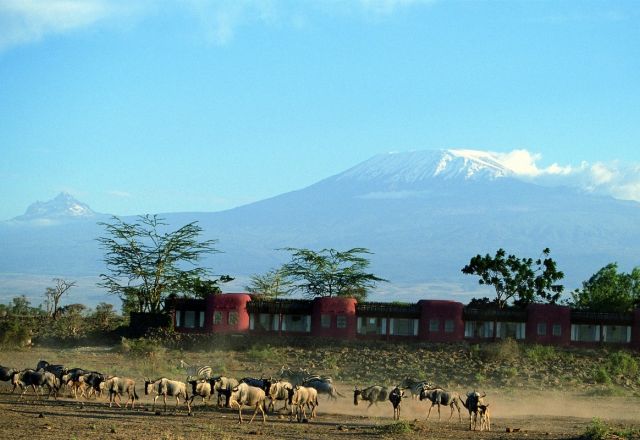 Amboseli Serena Lodge