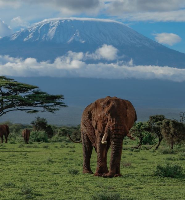 Fotoreise Kenia - mit Stefano Paterna