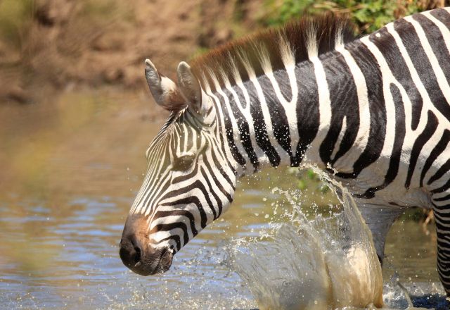 Tansanias Süden und Sansibar